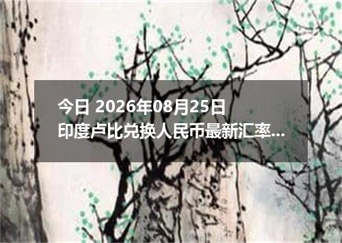 今日 2026年08月25日 印度卢比兑换人民币最新汇率行情