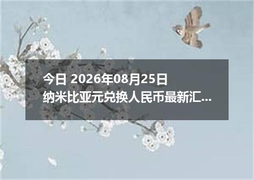 今日 2026年08月25日 纳米比亚元兑换人民币最新汇率行情